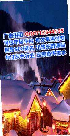 巨野生子路桥公司